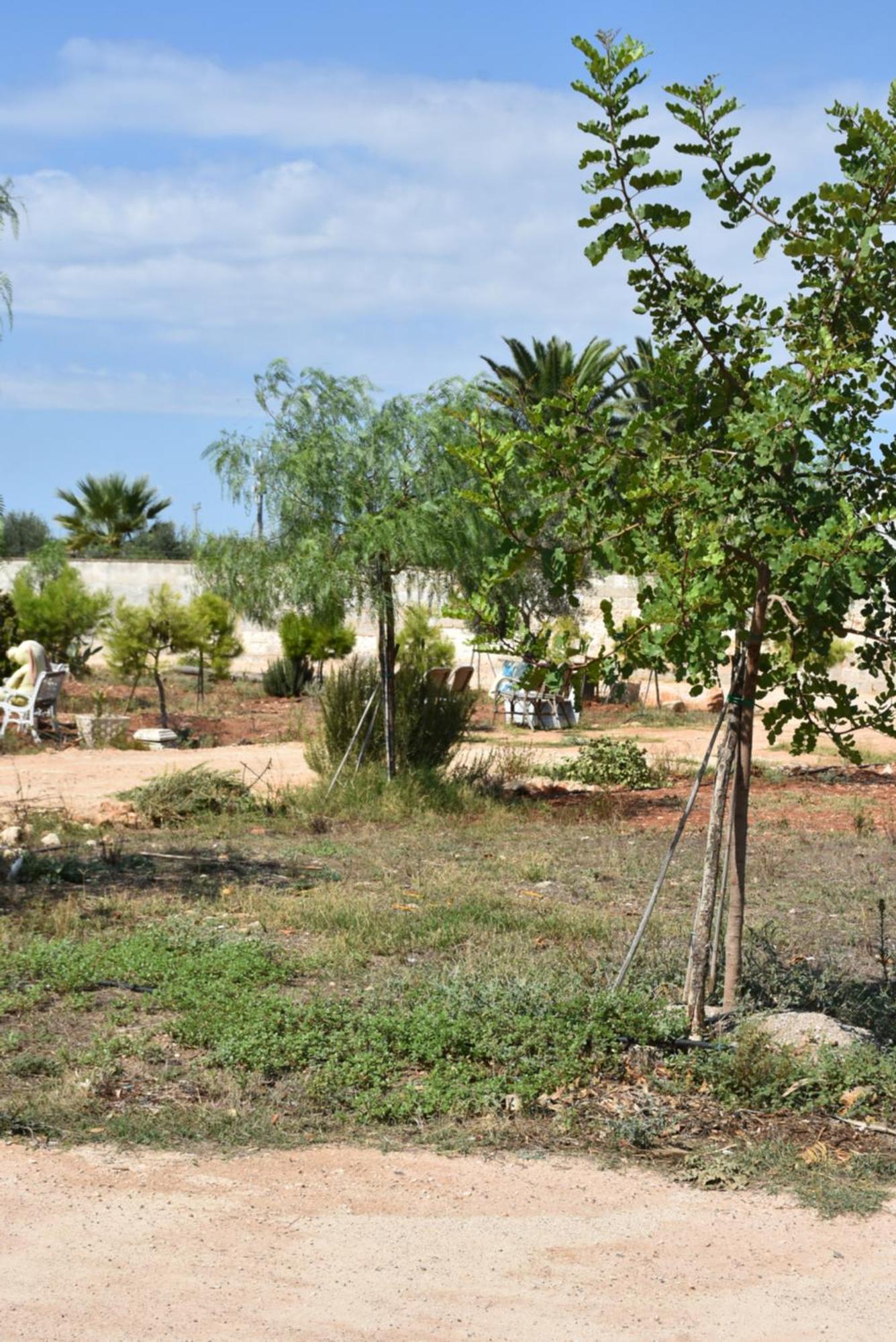 Hotel Del Sole